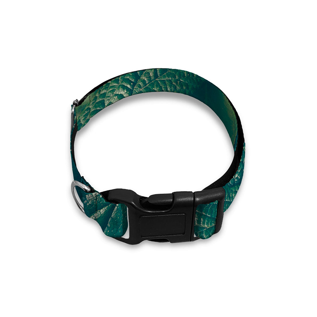 Green Leaves Print Dog Collar