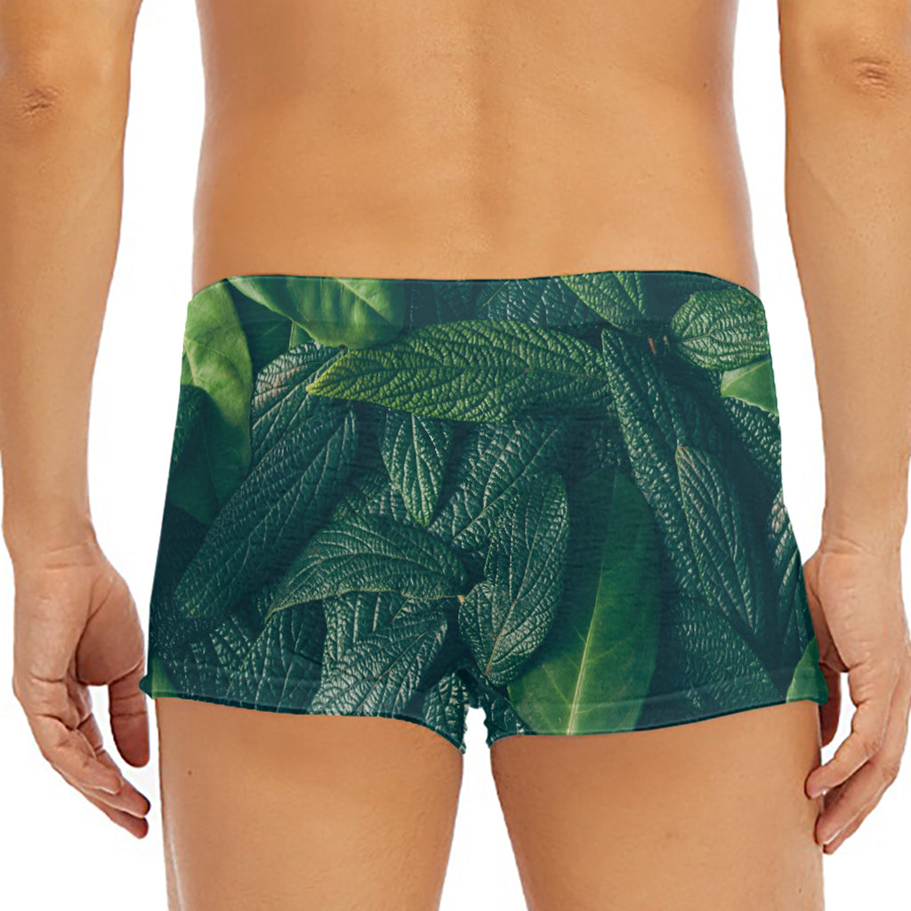 Green Leaves Print Men's Short Boxer Briefs