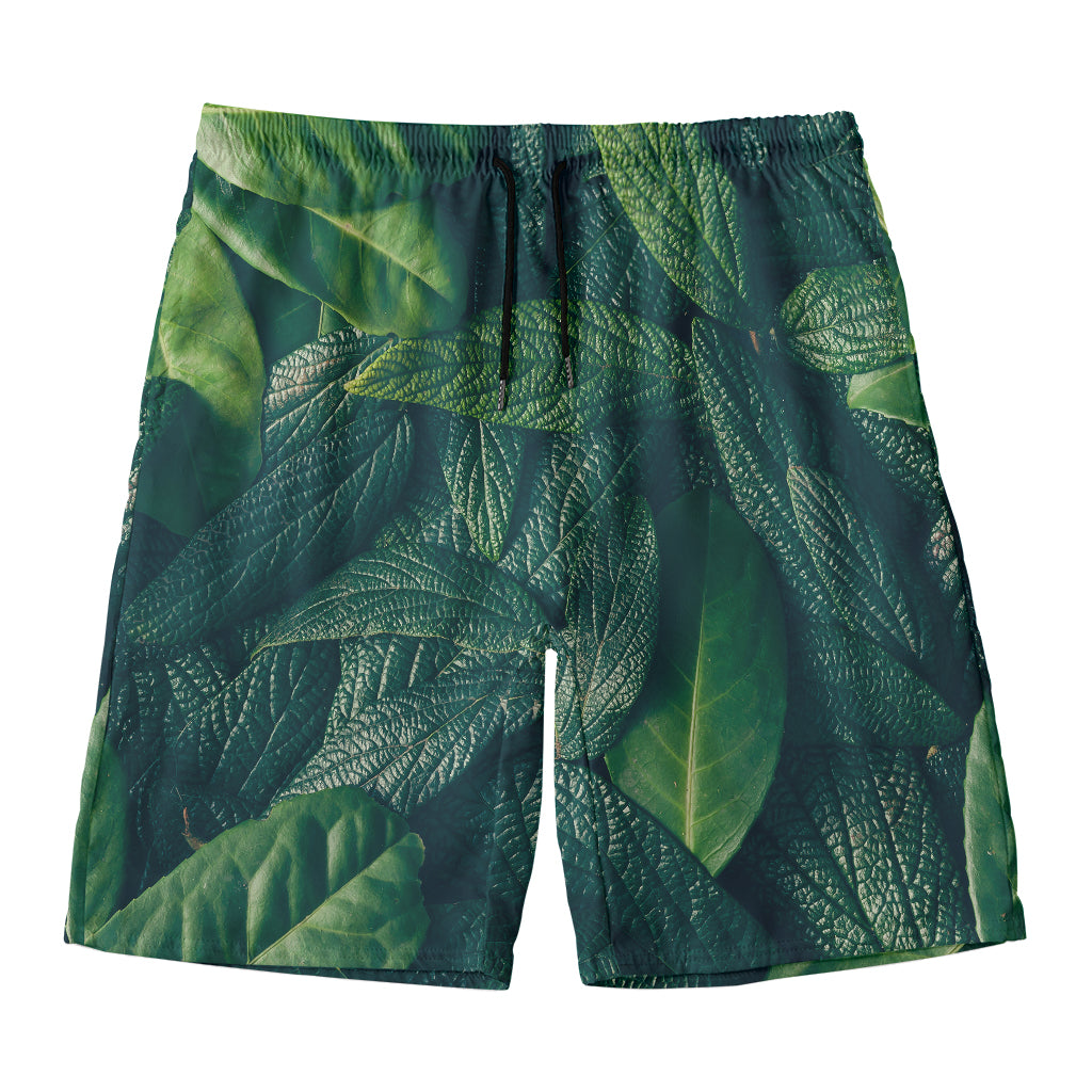 Green Leaves Print Men's Swim Trunks