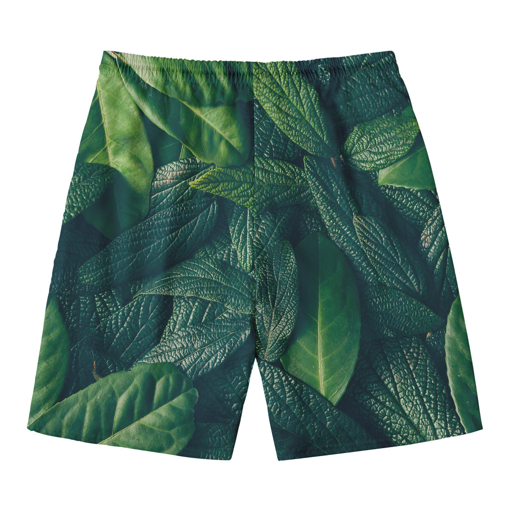 Green Leaves Print Men's Swim Trunks