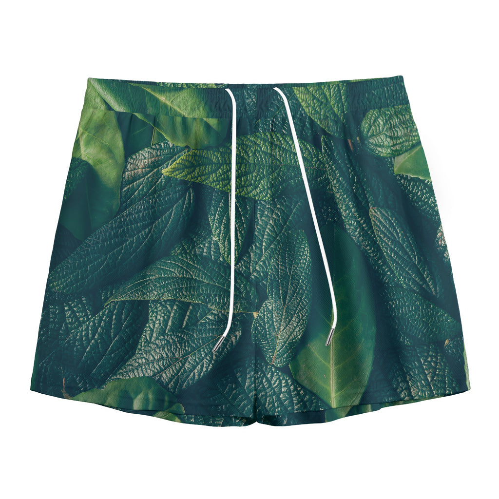 Green Leaves Print Mesh Shorts