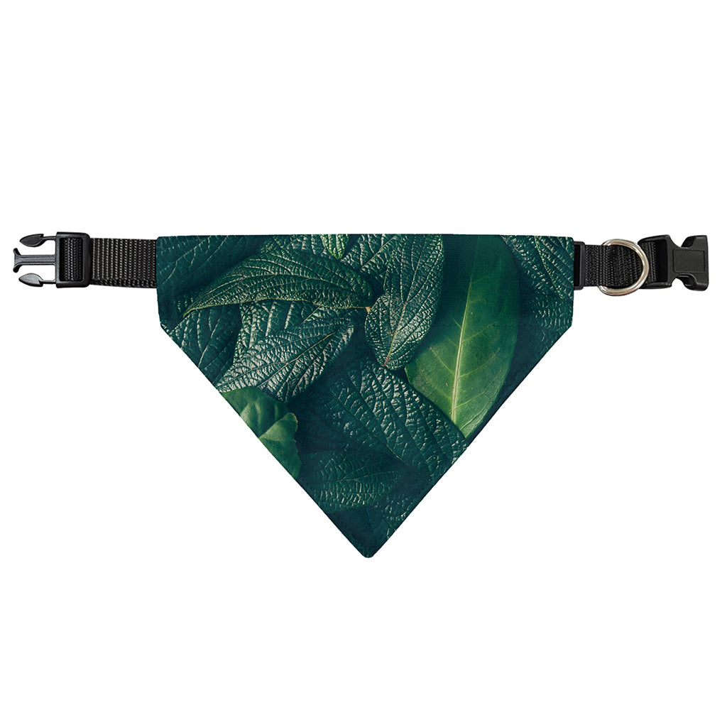 Green Leaves Print Over The Collar Dog Bandana