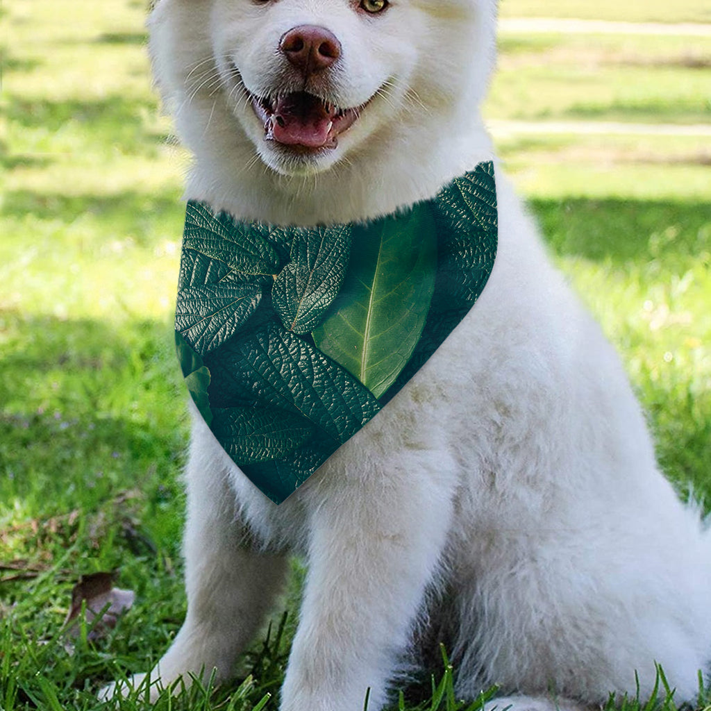 Green Leaves Print Over The Collar Dog Bandana
