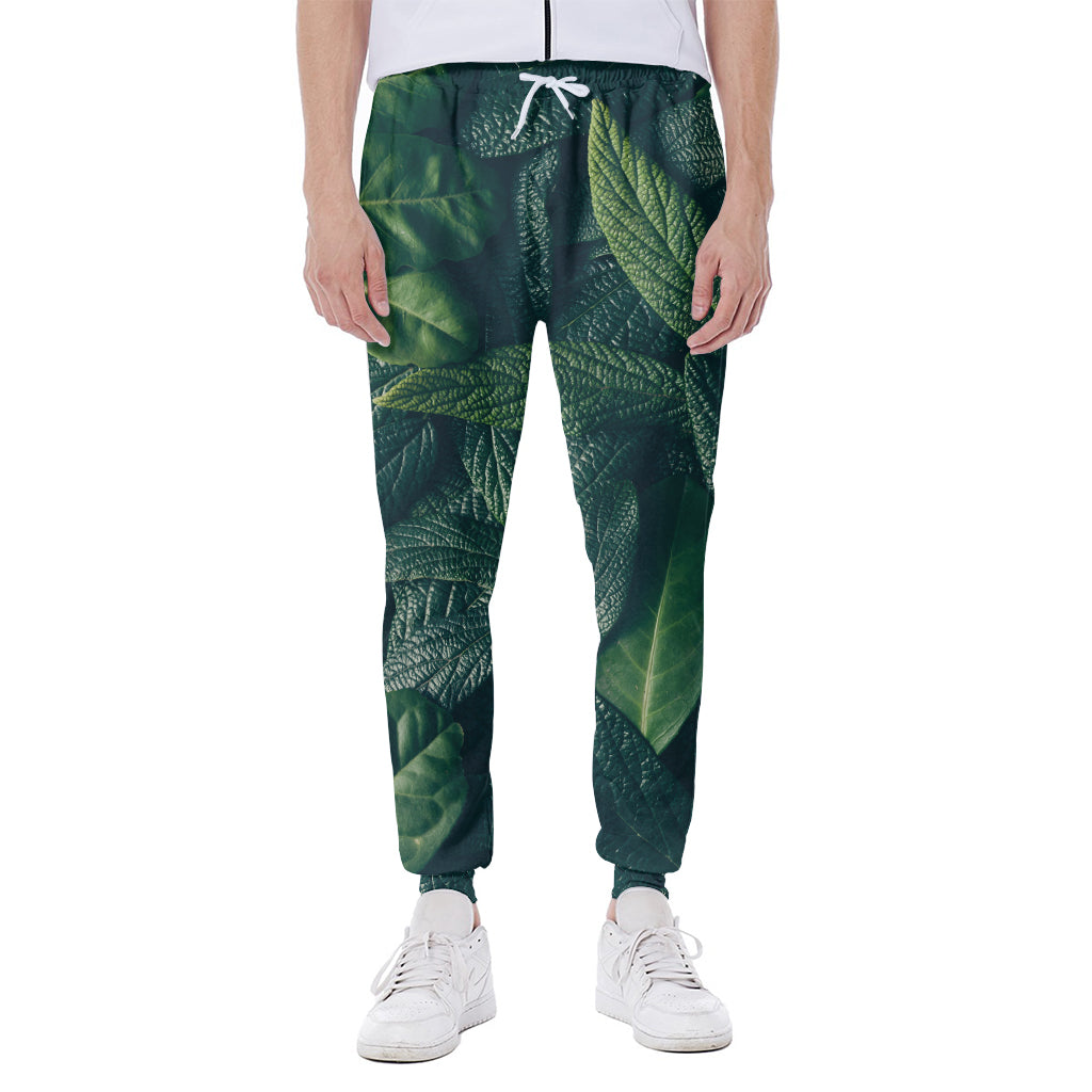 Green Leaves Print Scuba Joggers