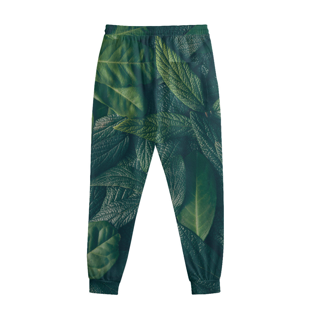 Green Leaves Print Sweatpants