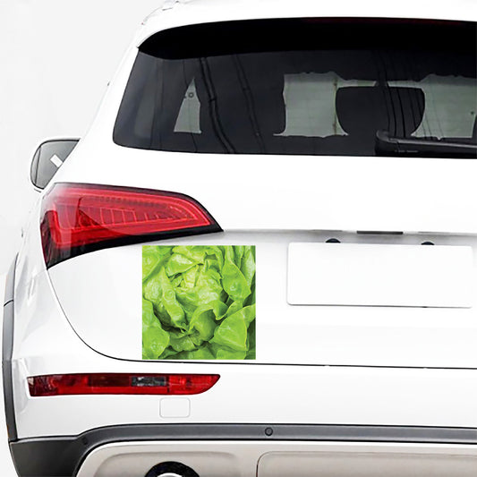Green Lettuce Leaves Print Car Sticker