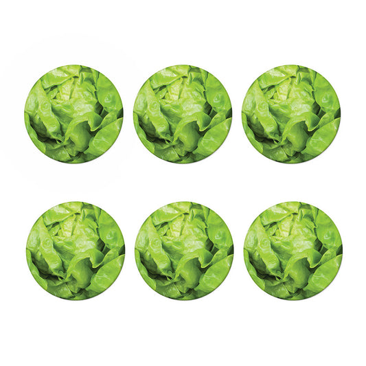 Green Lettuce Leaves Print Coaster Set