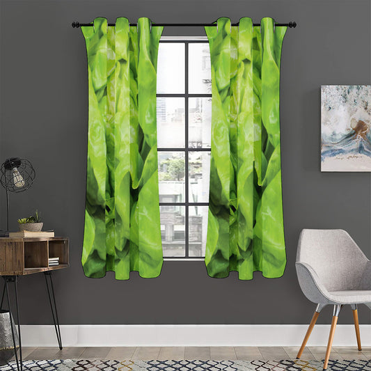 Green Lettuce Leaves Print Curtain