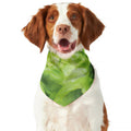Green Lettuce Leaves Print Dog Bandana