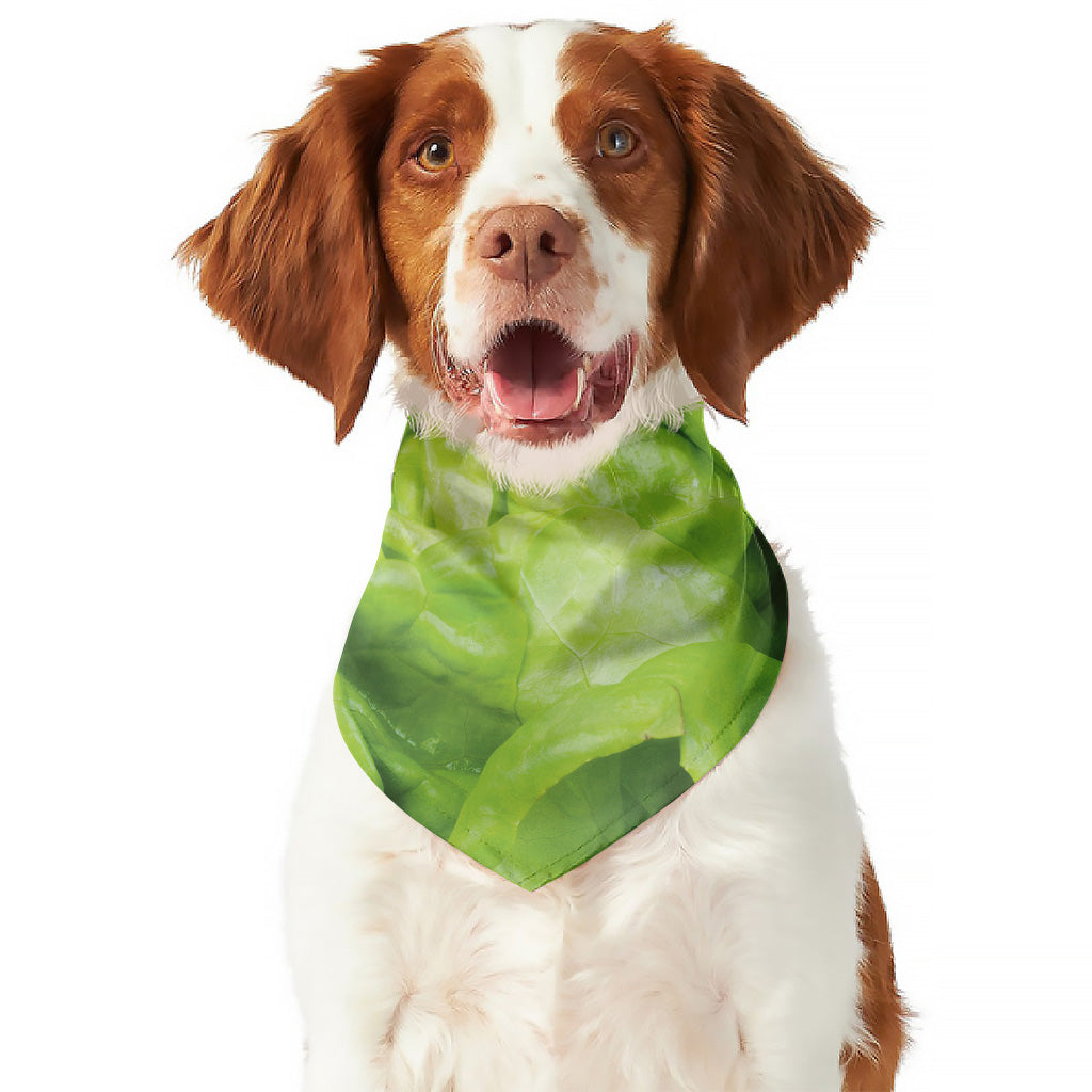 Green Lettuce Leaves Print Dog Bandana