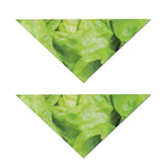 Green Lettuce Leaves Print Dog Bandana