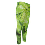 Green Lettuce Leaves Print Men's Compression Pants