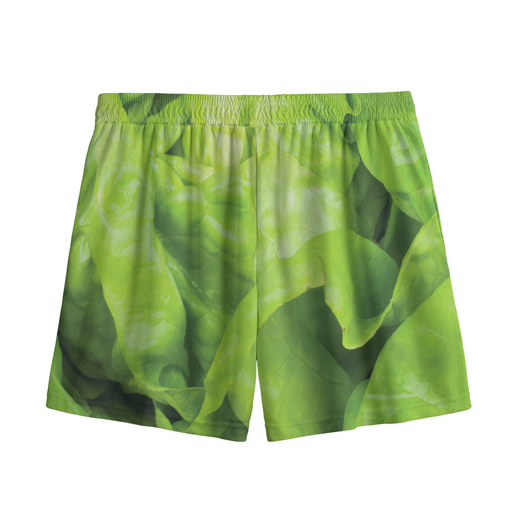 Green Lettuce Leaves Print Mesh Shorts