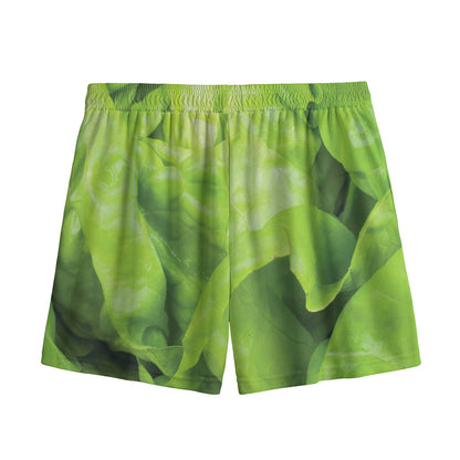 Green Lettuce Leaves Print Mesh Shorts
