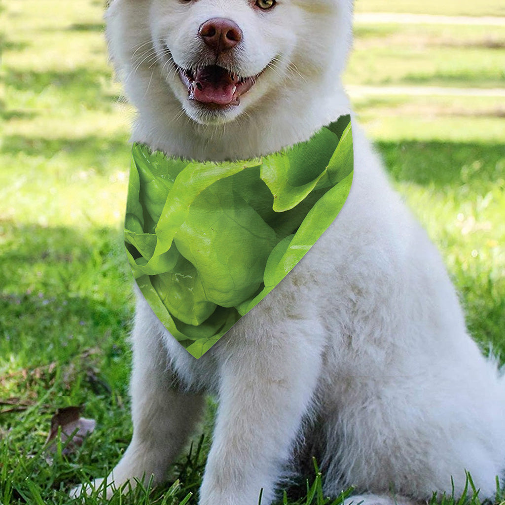 Green Lettuce Leaves Print Over The Collar Dog Bandana