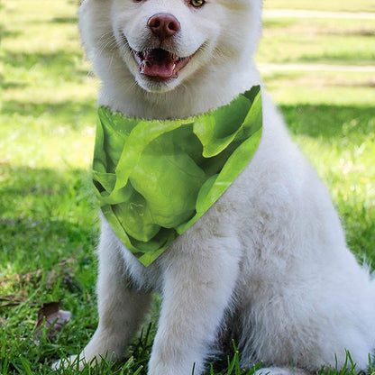 Green Lettuce Leaves Print Over The Collar Dog Bandana