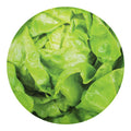 Green Lettuce Leaves Print Round Blanket