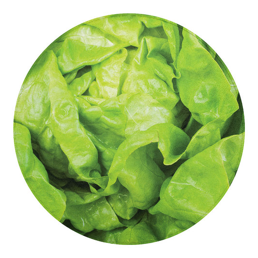 Green Lettuce Leaves Print Round Blanket