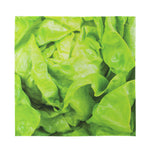 Green Lettuce Leaves Print Silk Bandana