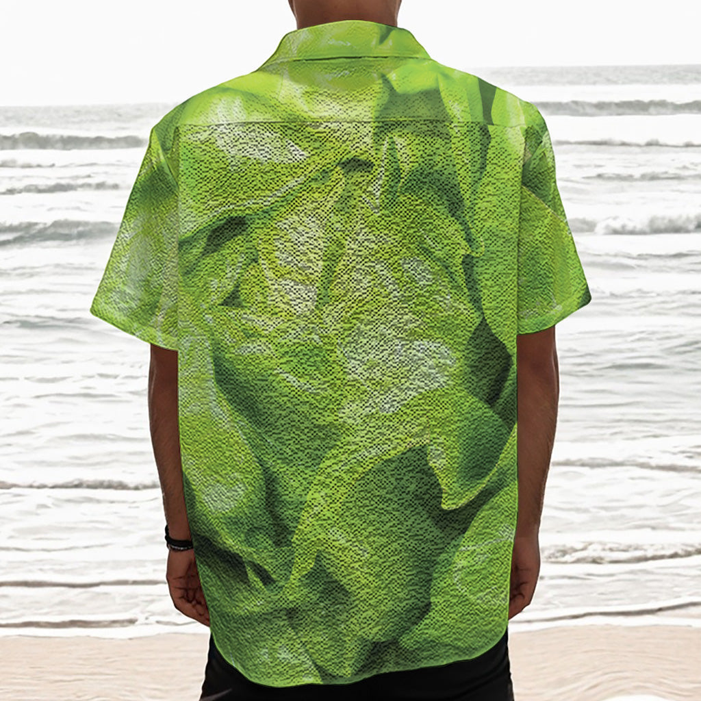 Green Lettuce Leaves Print Textured Short Sleeve Shirt