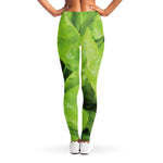 Green Lettuce Leaves Print Women's Leggings