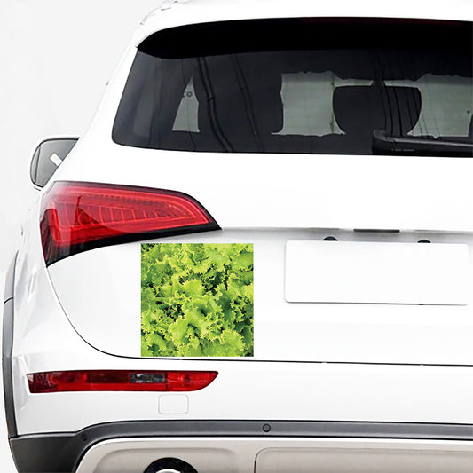 Green Lettuce Salad Print Car Sticker