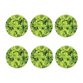 Green Lettuce Salad Print Coaster Set