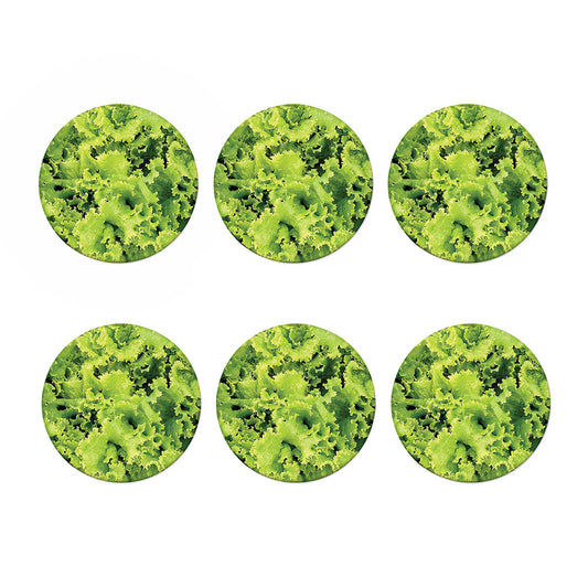 Green Lettuce Salad Print Coaster Set