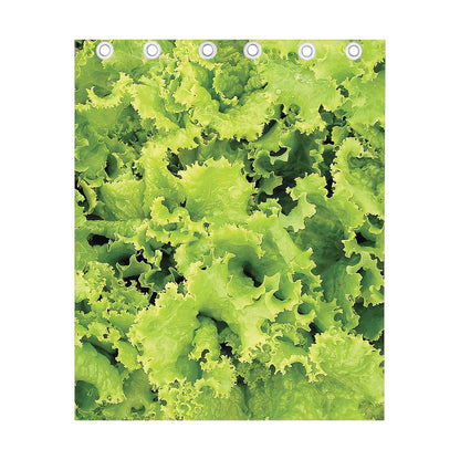 Green Lettuce Salad Print Curtain