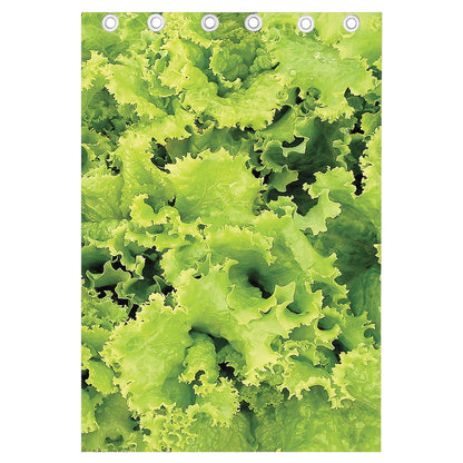 Green Lettuce Salad Print Curtain