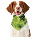 Green Lettuce Salad Print Dog Bandana