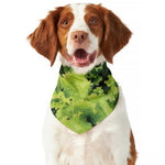 Green Lettuce Salad Print Dog Bandana