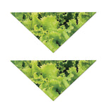 Green Lettuce Salad Print Dog Bandana