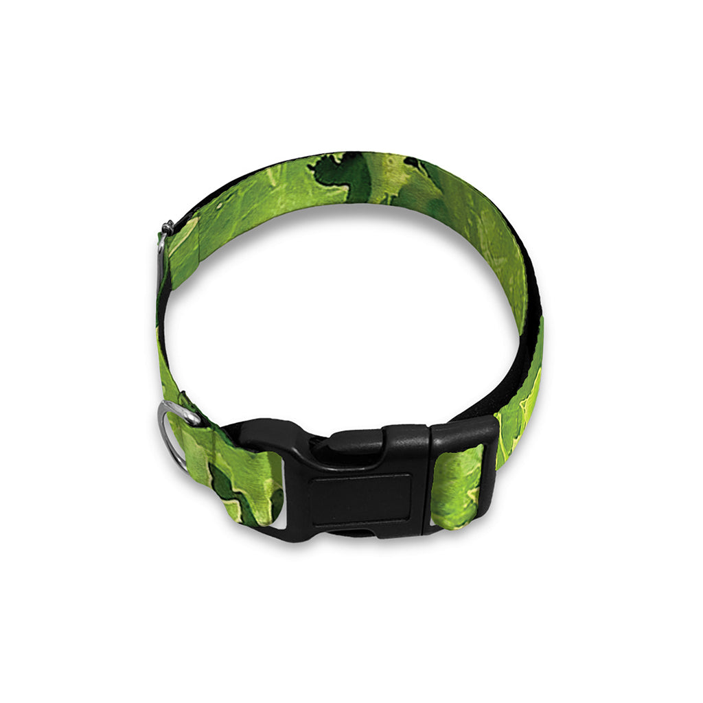 Green Lettuce Salad Print Dog Collar
