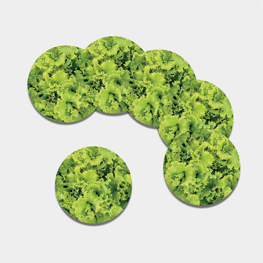 Green Lettuce Salad Print Leather Coaster Set