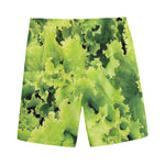 Green Lettuce Salad Print Men's Sports Shorts