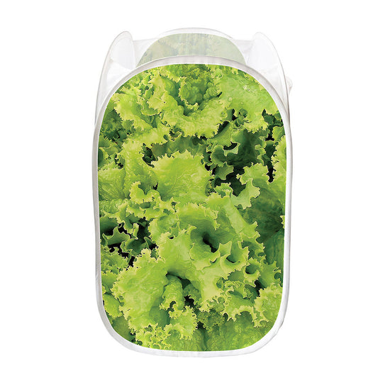 Green Lettuce Salad Print Mesh Laundry Hamper