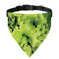 Green Lettuce Salad Print Over The Collar Dog Bandana