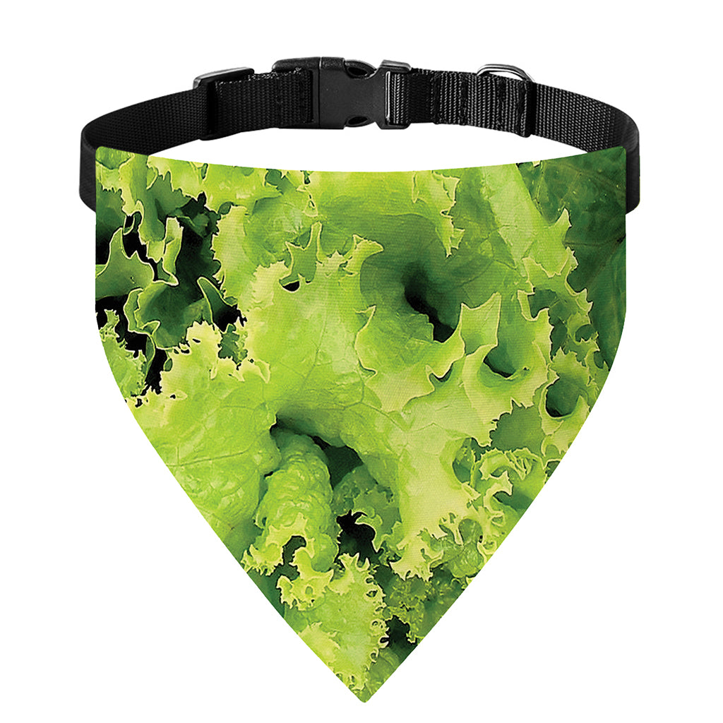 Green Lettuce Salad Print Over The Collar Dog Bandana