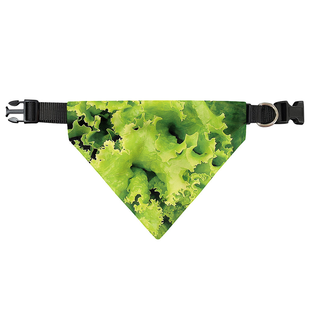 Green Lettuce Salad Print Over The Collar Dog Bandana