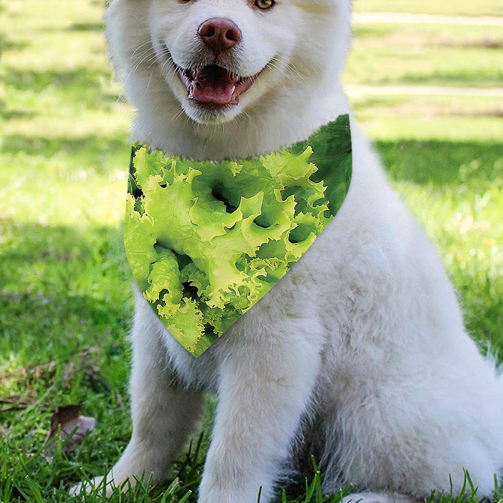 Green Lettuce Salad Print Over The Collar Dog Bandana