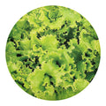 Green Lettuce Salad Print Round Blanket