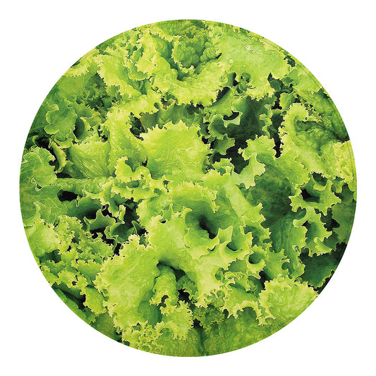 Green Lettuce Salad Print Round Blanket