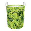 Green Lettuce Salad Print Round Laundry Basket