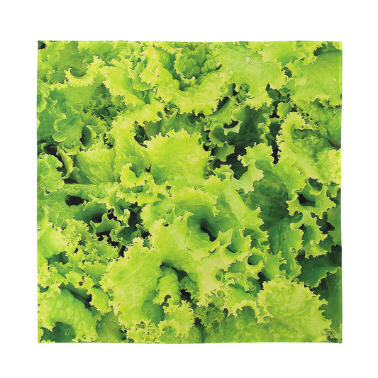 Green Lettuce Salad Print Silk Bandana