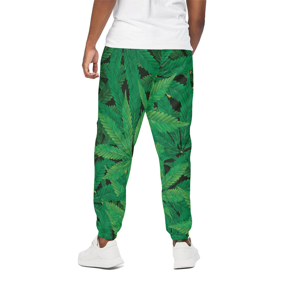 Green Marijuana Leaf Print Cotton Pants