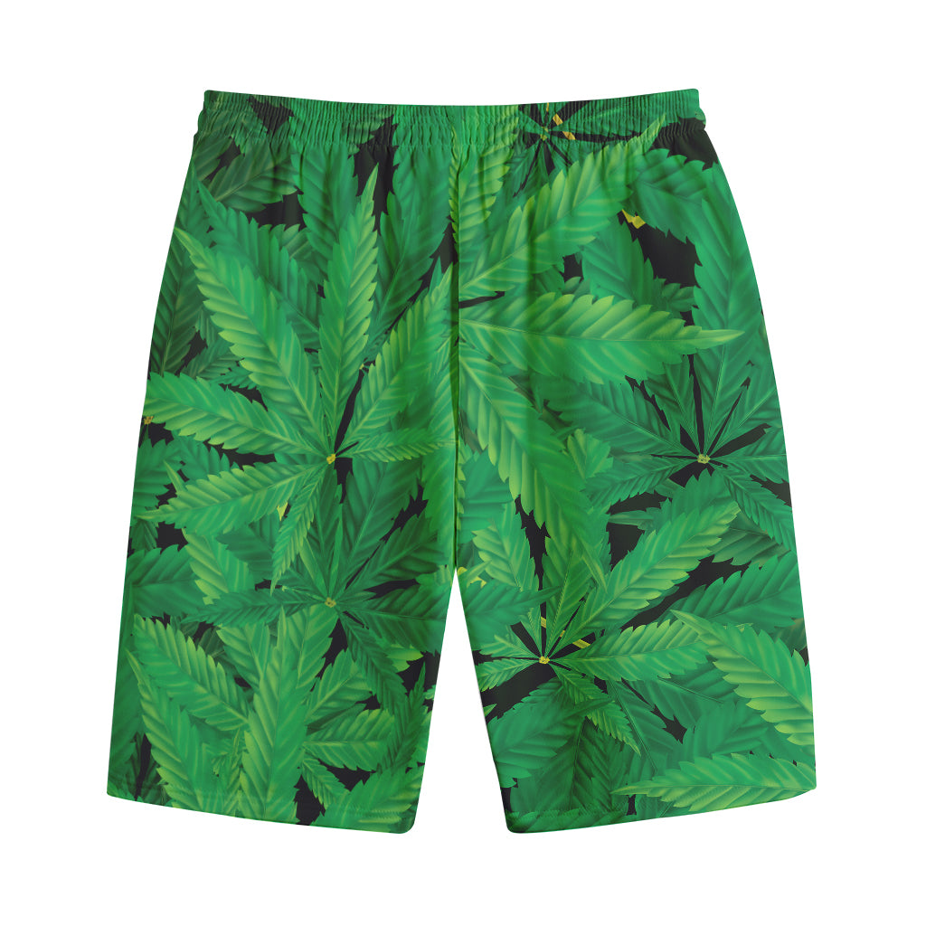 Green Marijuana Leaf Print Cotton Shorts