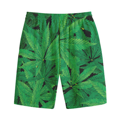 Green Marijuana Leaf Print Cotton Shorts
