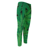 Green Marijuana Leaf Print Men's Compression Pants