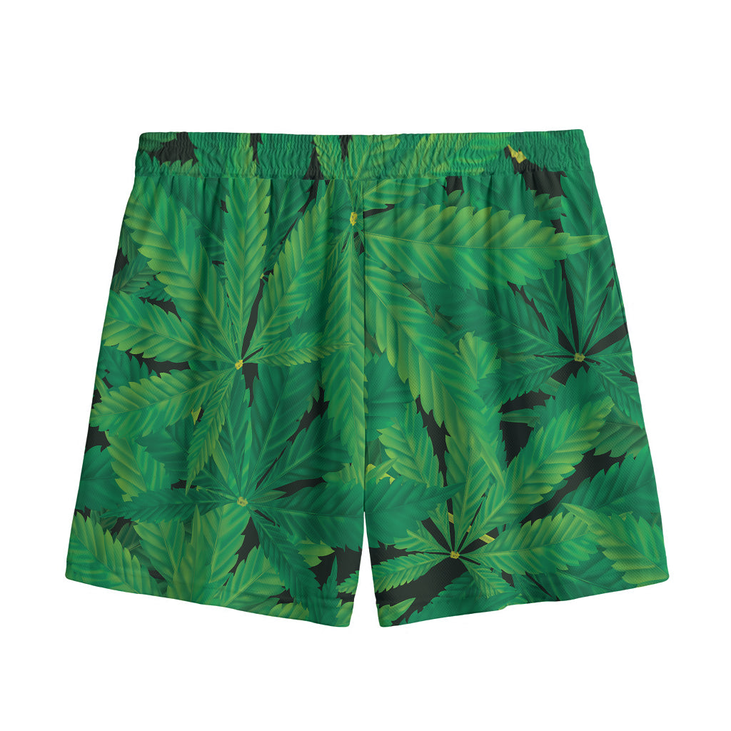 Green Marijuana Leaf Print Mesh Shorts